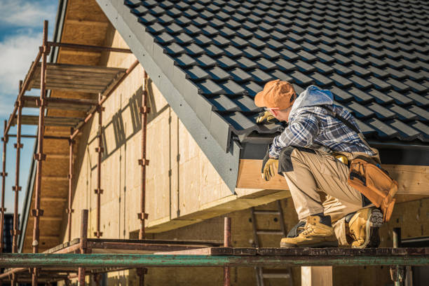 Best Skylight Installation and Repair  in Panora, IA