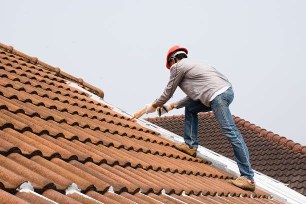 Best Metal Roofing Installation  in Panora, IA