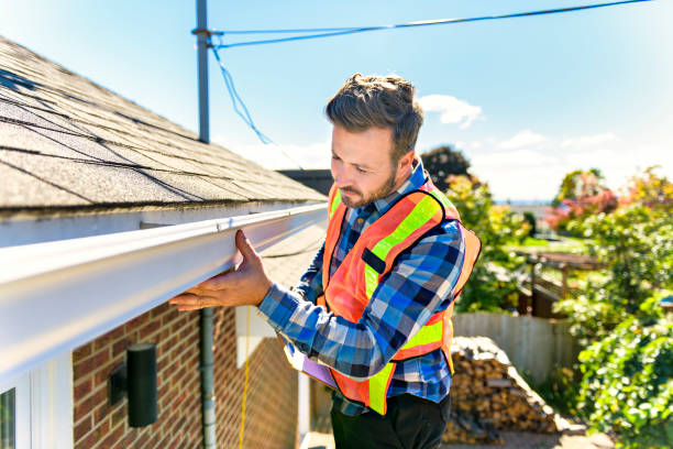 Best Gutter Installation and Repair  in Panora, IA