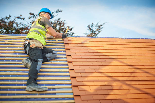 Best Roof Maintenance  in Panora, IA
